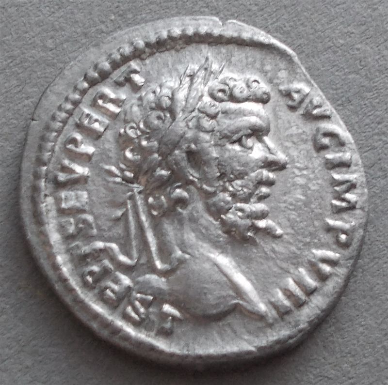 Septimius-Severus-Denarii,-Laodicea-Mint